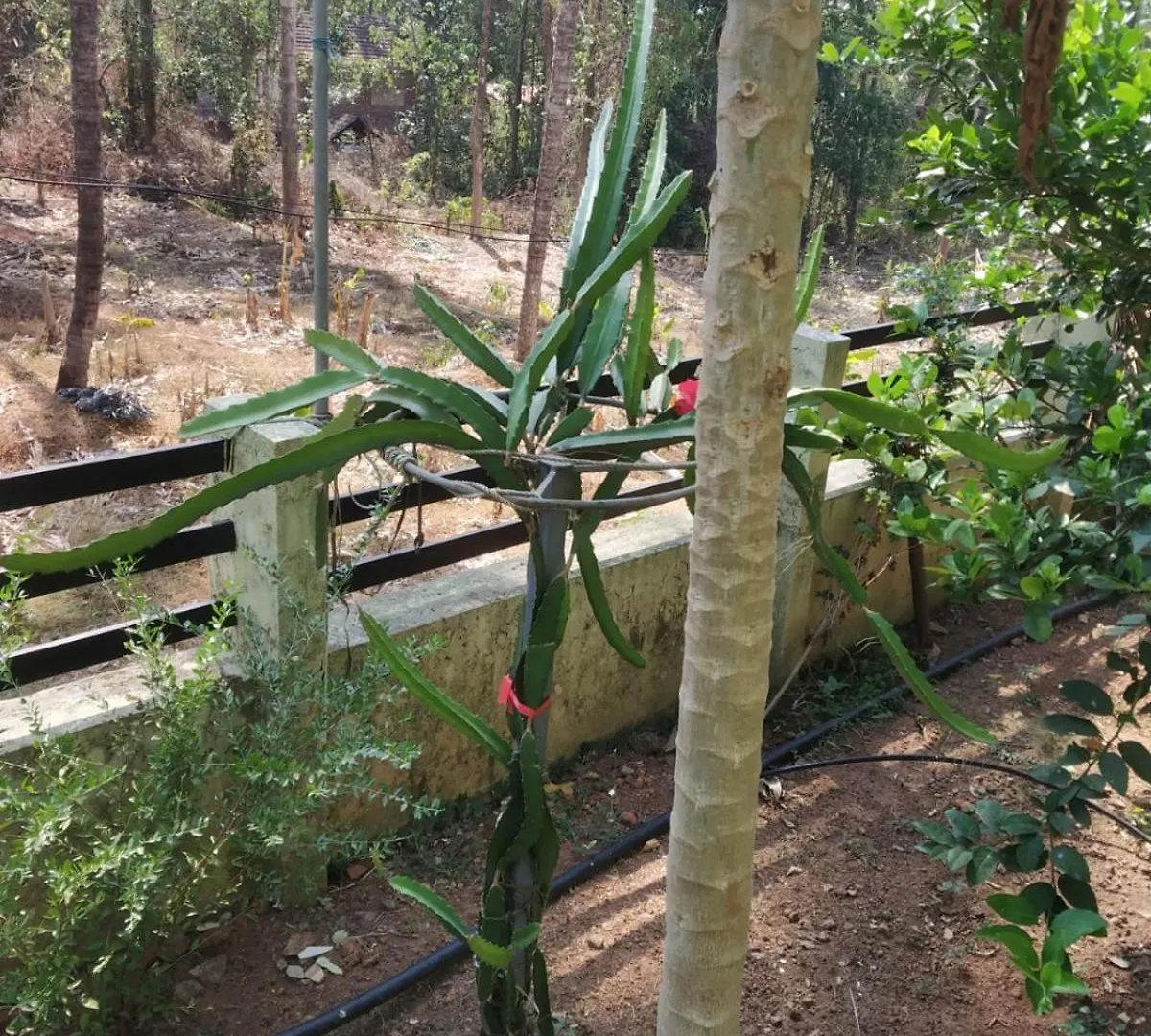 Ashiaana Homestay Thrissur 0*,